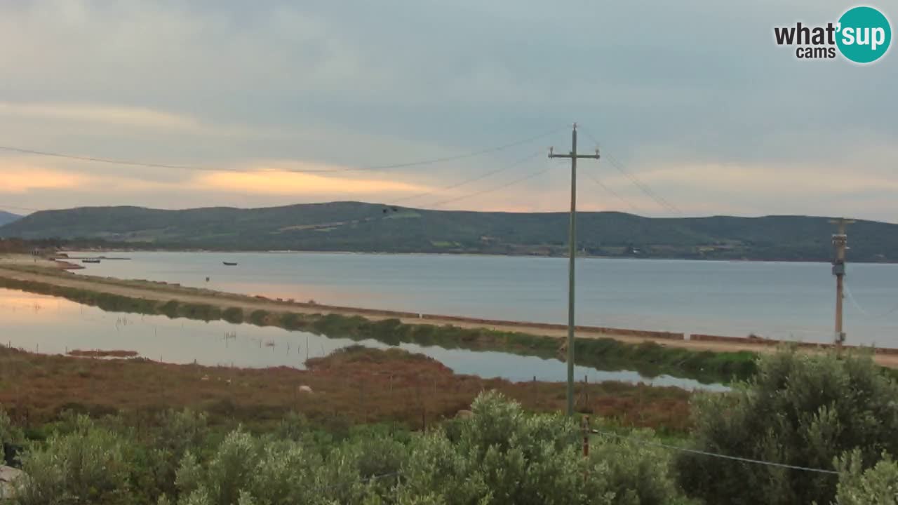 Beach Porto Botte webcam | Sardinia