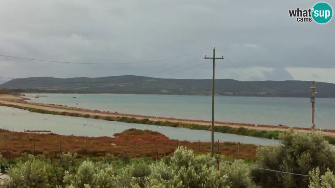 Strand Porto Botte webcam | Sardinien