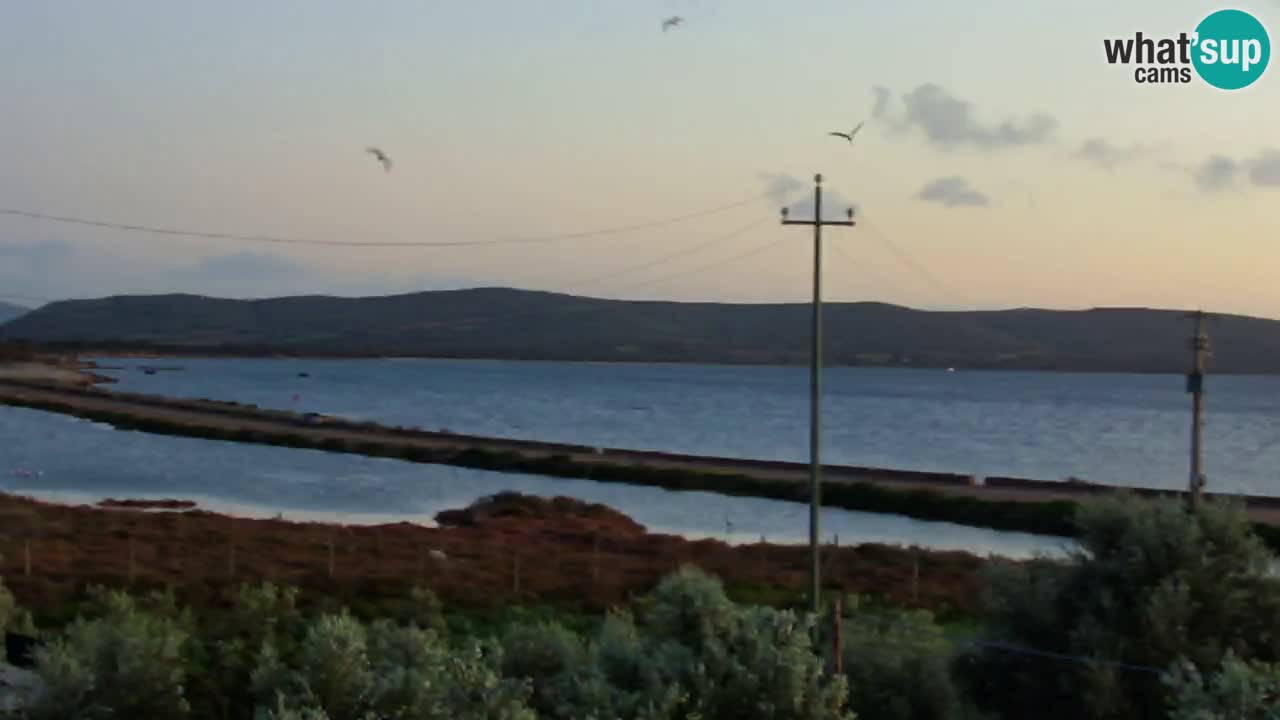 Spletna kamera Porto Botte plaža | Sardinija