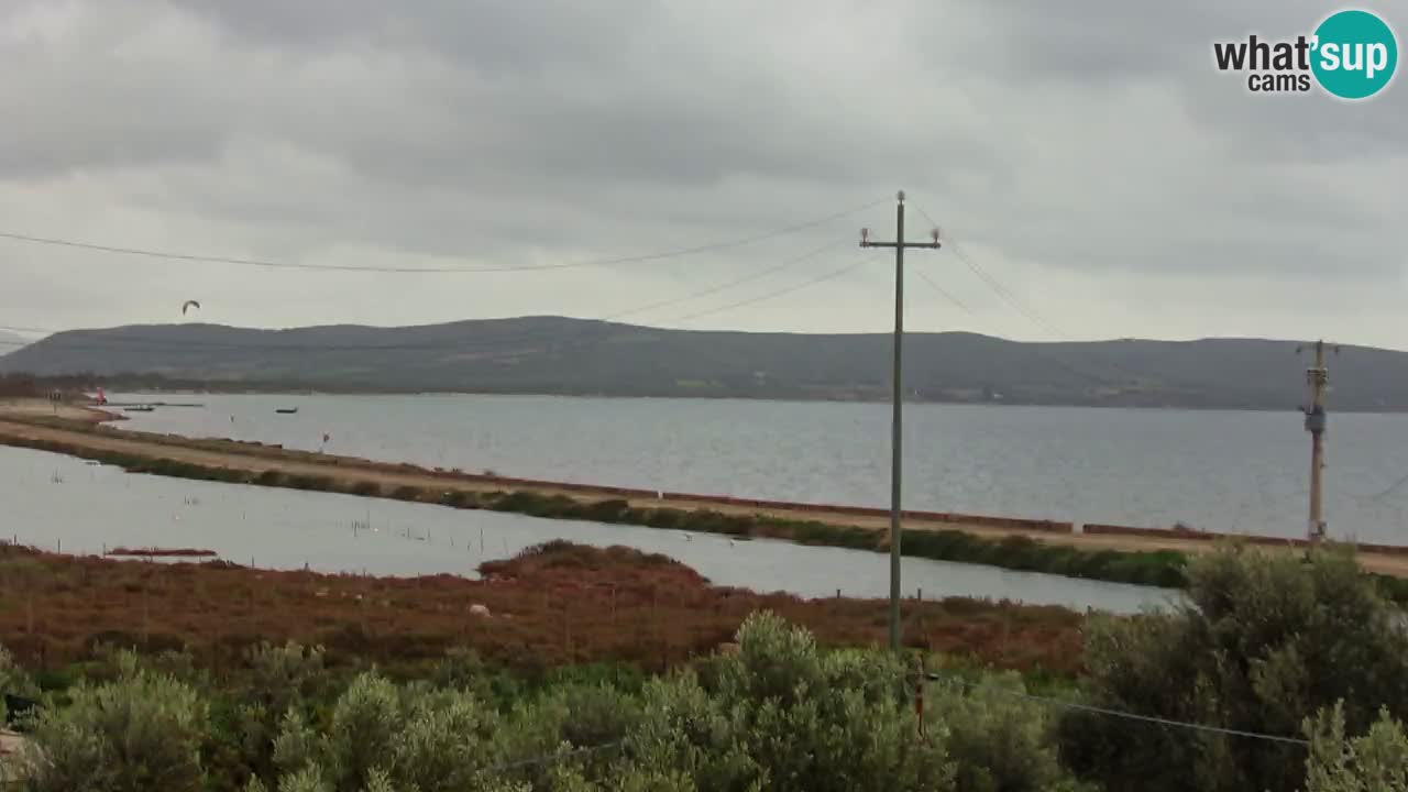 Beach Porto Botte webcam | Sardinia