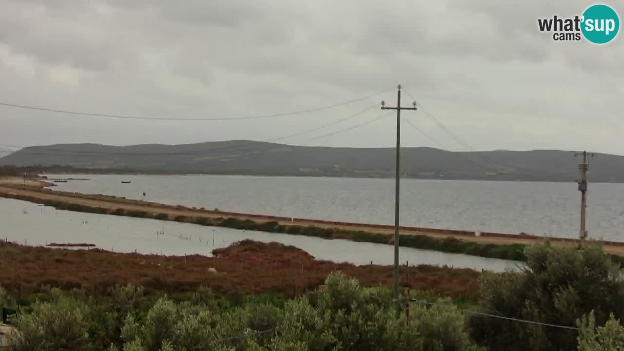 Beach Porto Botte webcam | Sardinia