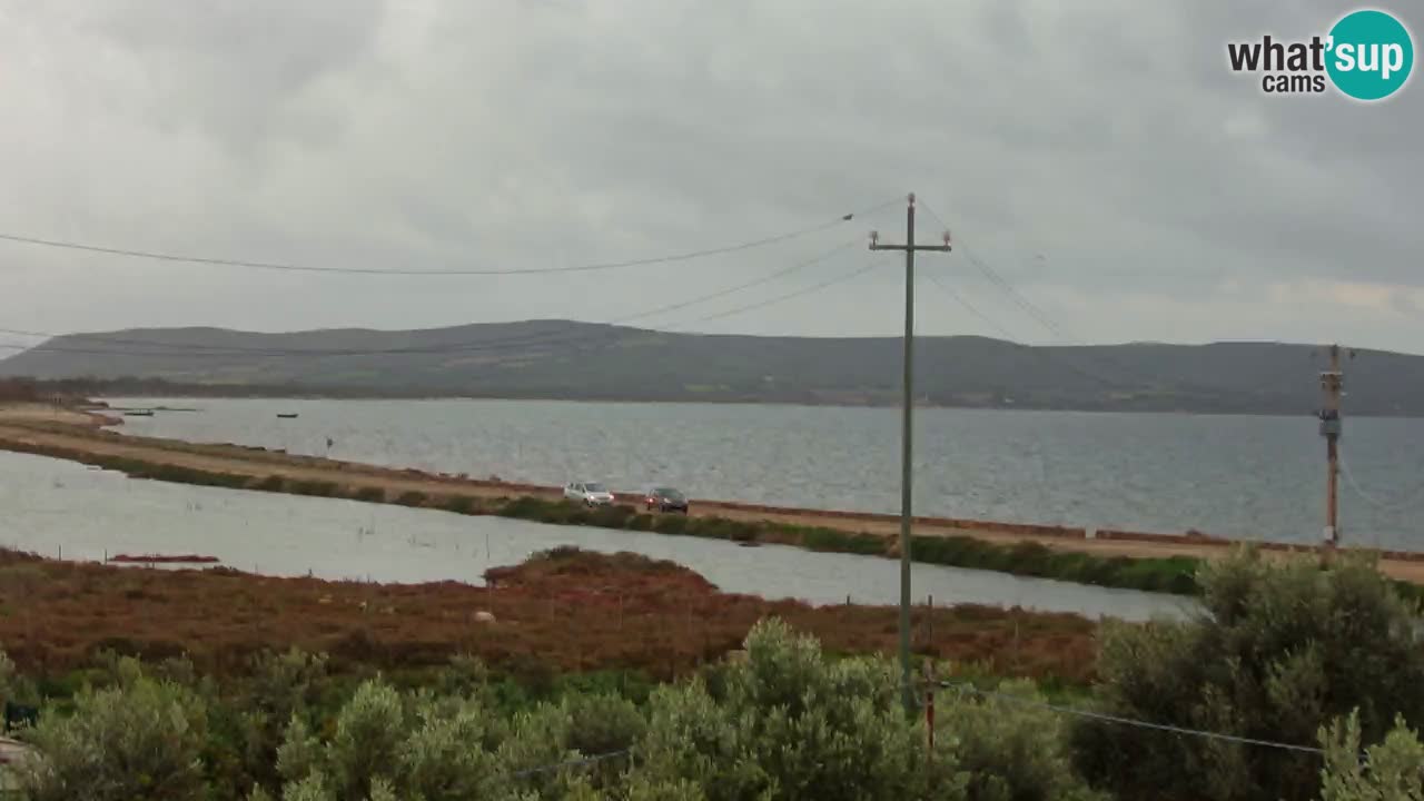 Beach Porto Botte webcam | Sardinia