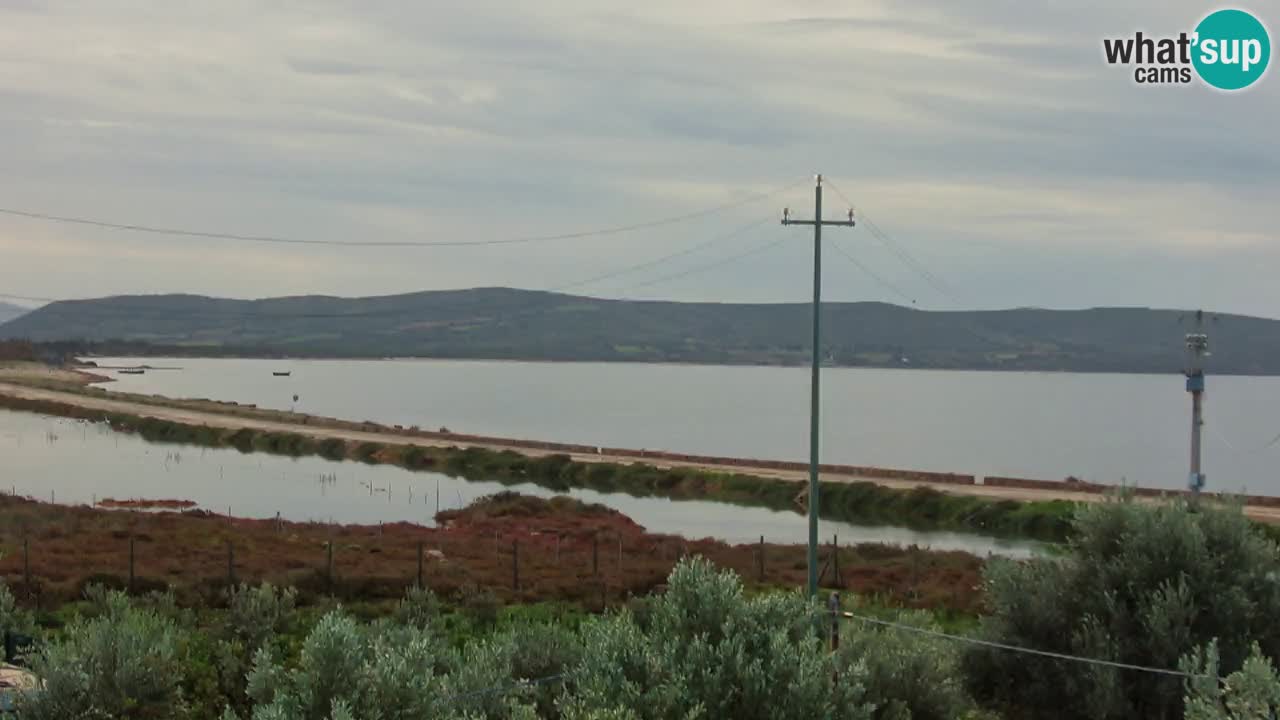 Beach Porto Botte webcam | Sardinia