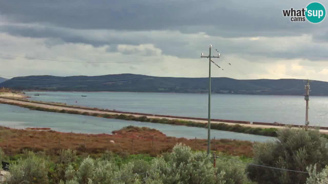 Beach Porto Botte webcam | Sardinia