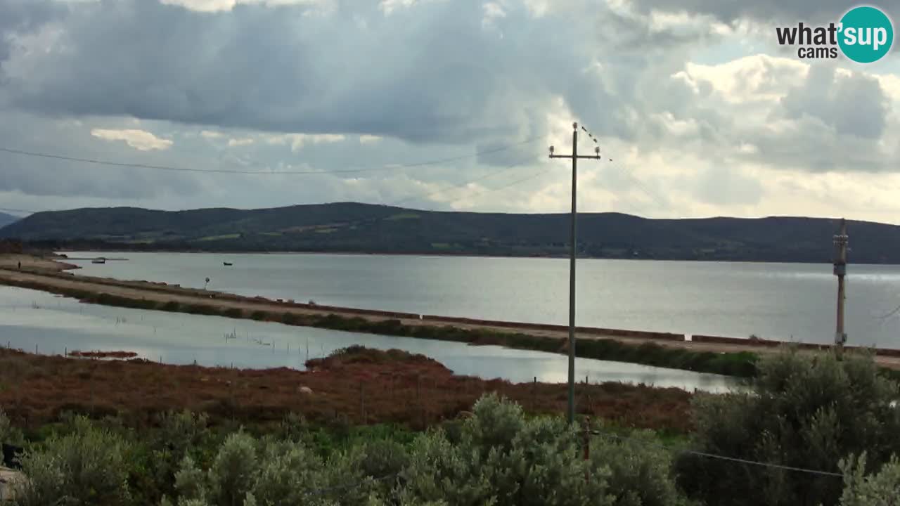 Beach Porto Botte webcam | Sardinia