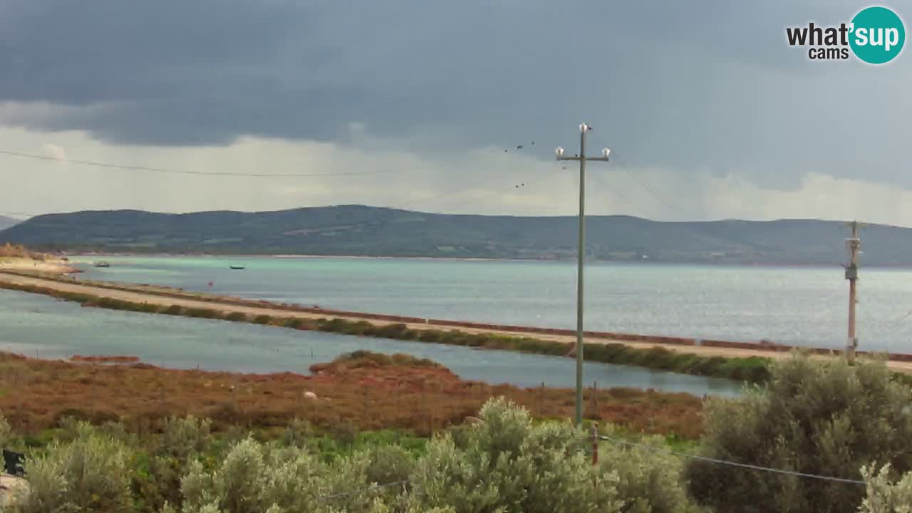 Plage Porto Botte webcam | Sardaigne