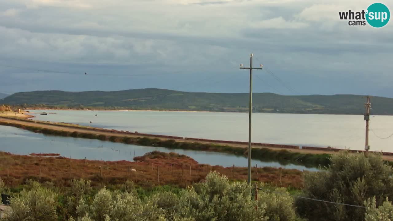 Beach Porto Botte webcam | Sardinia