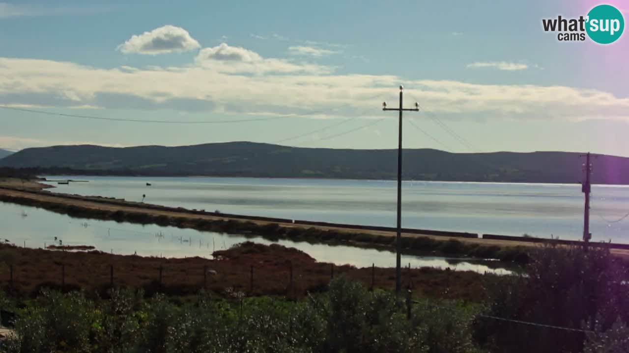 Beach Porto Botte webcam | Sardinia