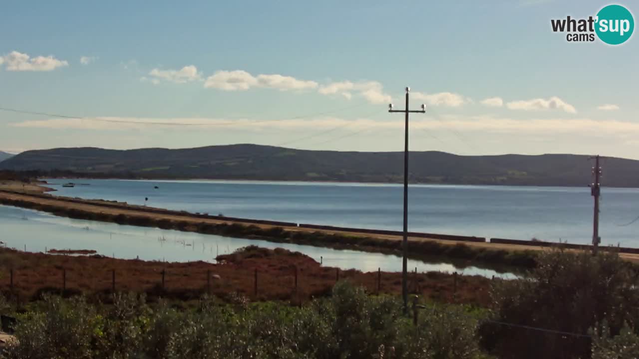 Beach Porto Botte webcam | Sardinia