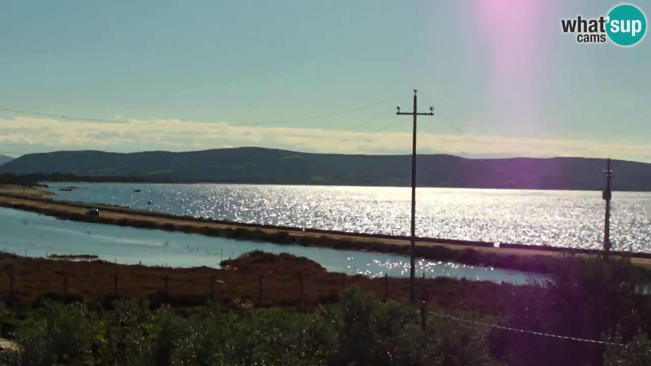 Beach Porto Botte webcam | Sardinia