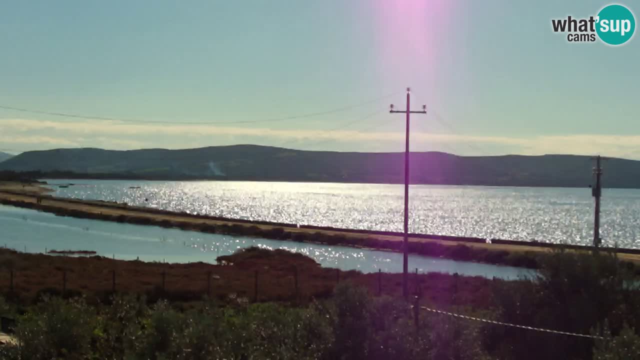 Beach Porto Botte webcam | Sardinia