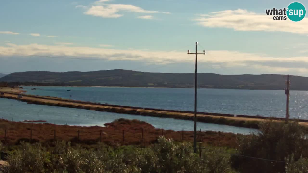 Beach Porto Botte webcam | Sardinia