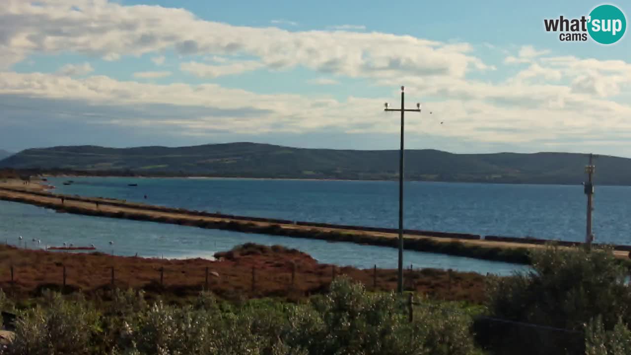 Beach Porto Botte webcam | Sardinia