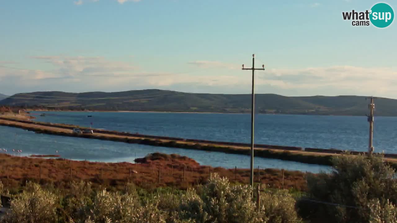 Beach Porto Botte webcam | Sardinia