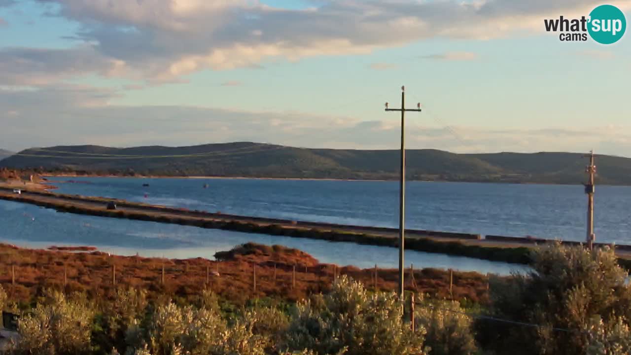 Webcam Porto Botte spiaggia | Sardegna