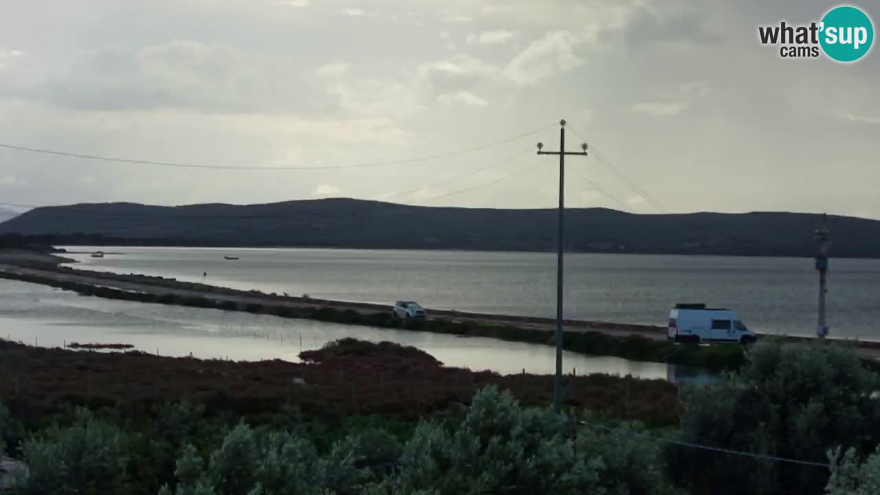 Strand Porto Botte webcam | Sardinien