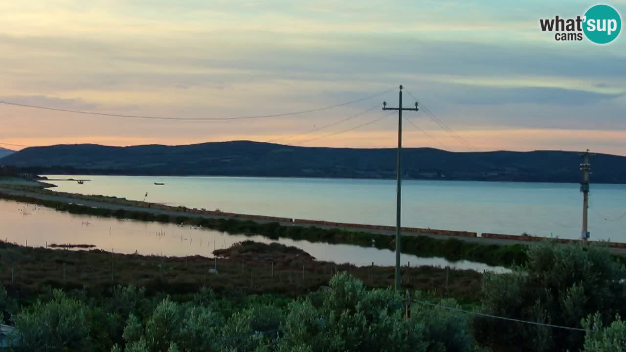 Webcam Porto Botte spiaggia | Sardegna