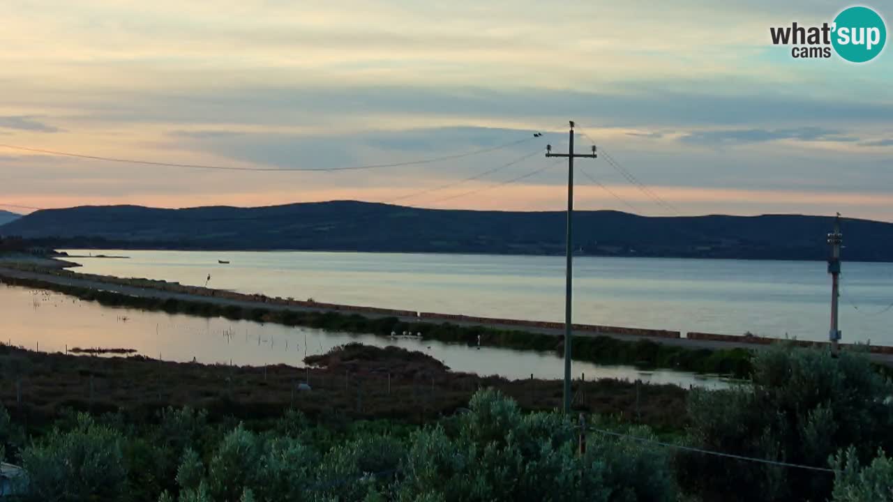 Webcam Porto Botte spiaggia | Sardegna