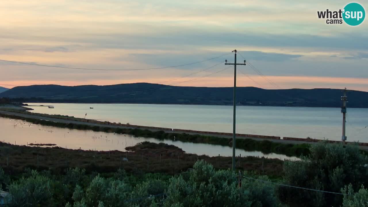 Beach Porto Botte webcam | Sardinia