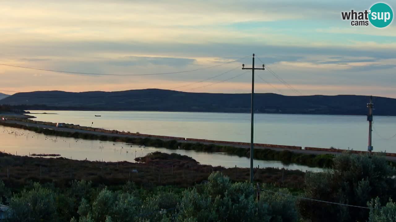 Beach Porto Botte webcam | Sardinia