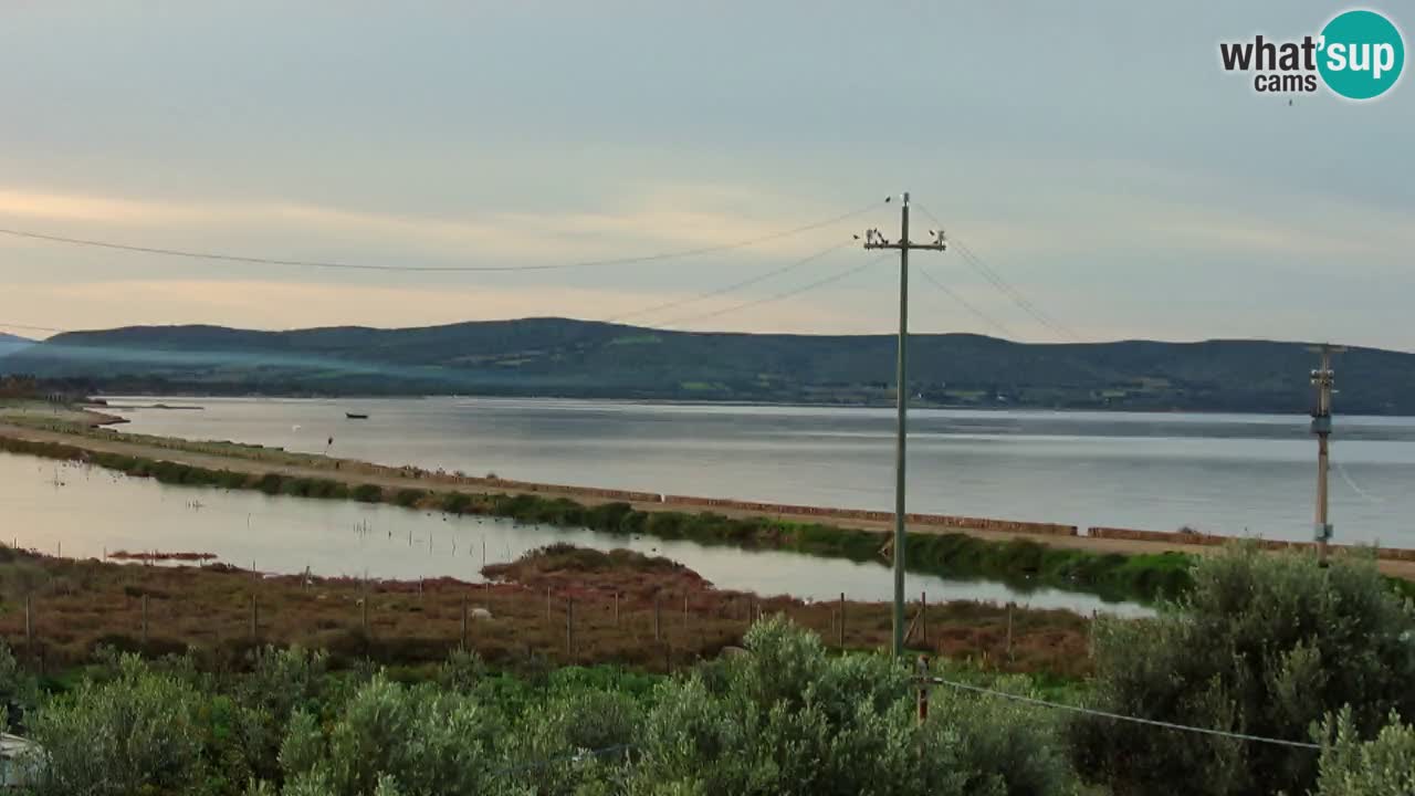 Webcam Porto Botte spiaggia | Sardegna