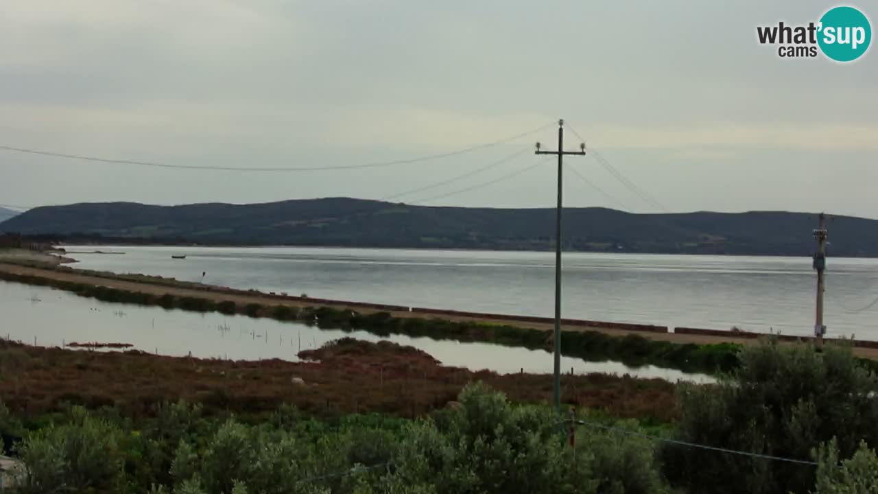 Webcam Porto Botte spiaggia | Sardegna