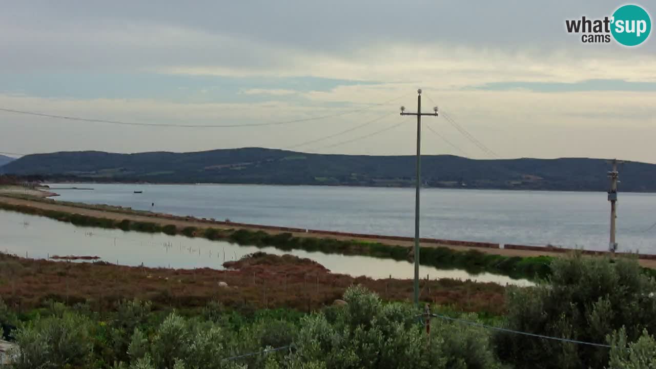 Webcam Porto Botte spiaggia | Sardegna