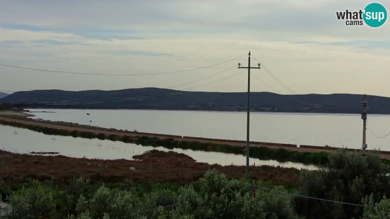 Webcam Porto Botte spiaggia | Sardegna