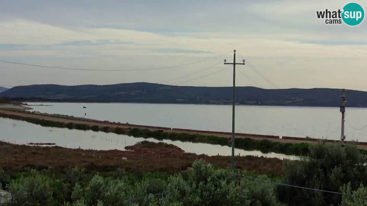 Webcam Porto Botte spiaggia | Sardegna