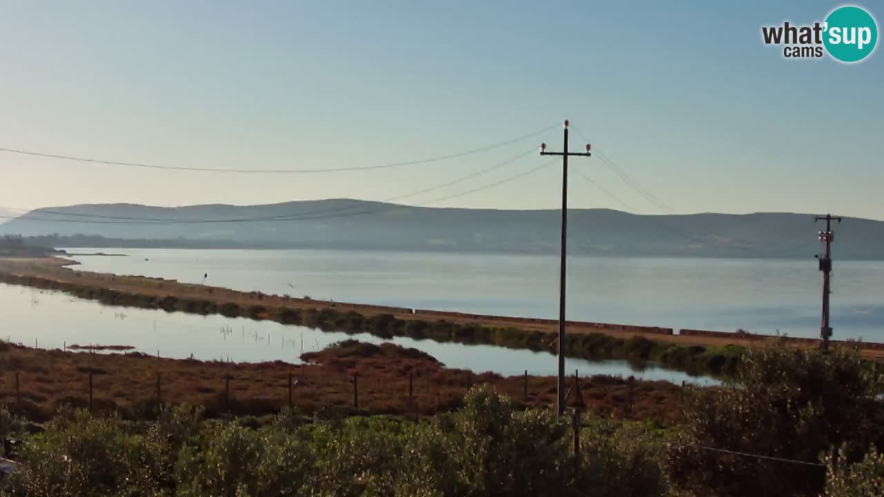 Beach Porto Botte webcam | Sardinia