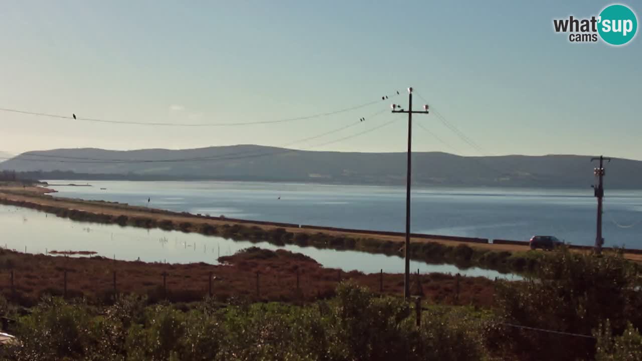 Beach Porto Botte webcam | Sardinia