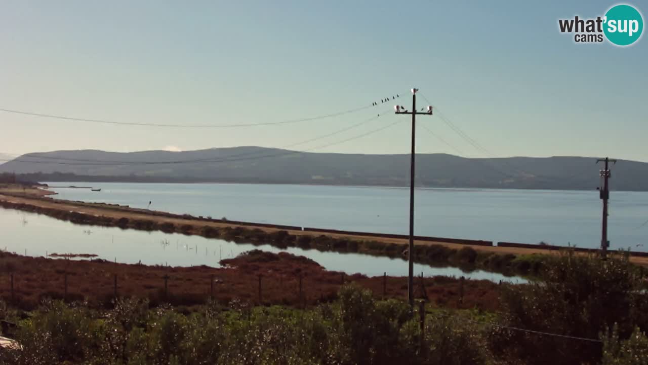 Playa Porto Botte webcam | Cerdena