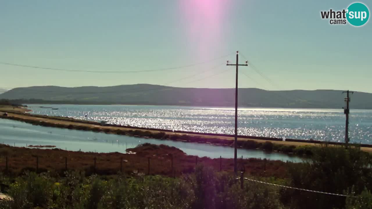 Beach Porto Botte webcam | Sardinia