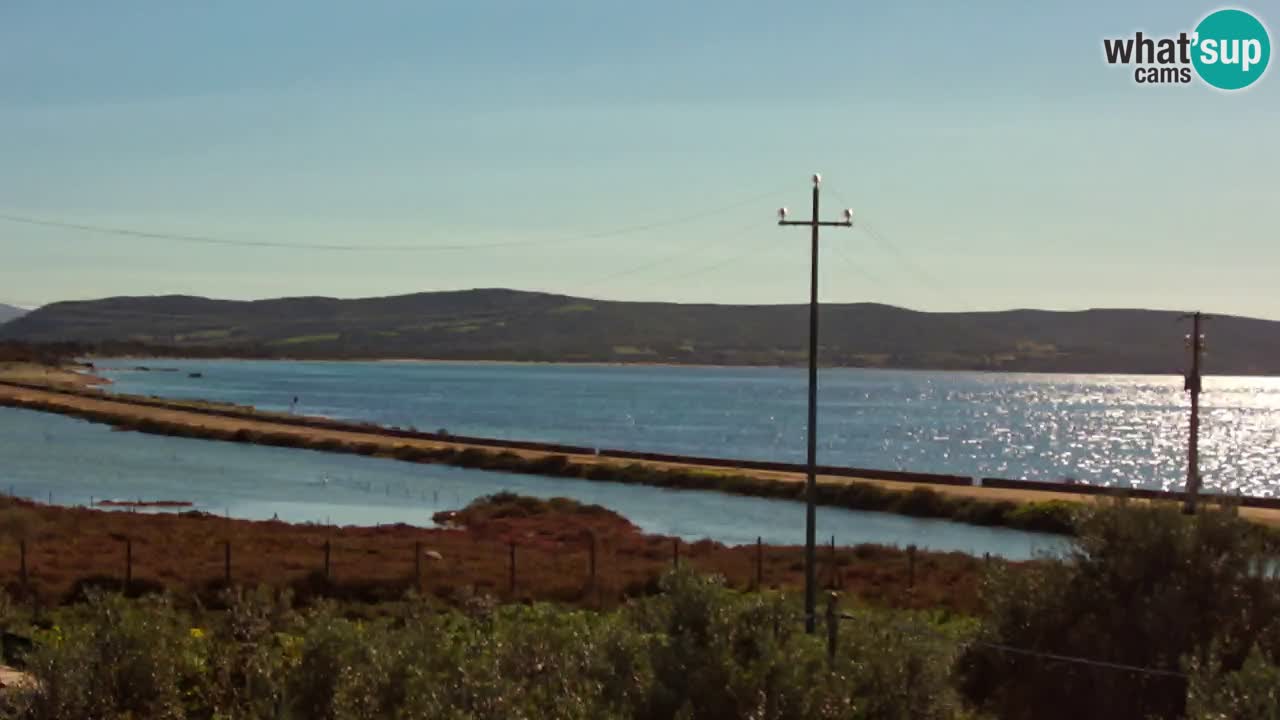 Beach Porto Botte webcam | Sardinia