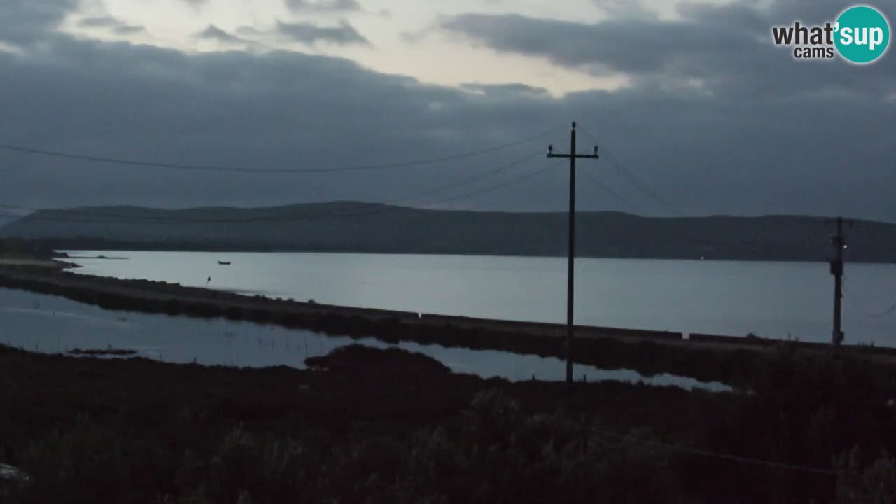 Beach Porto Botte webcam | Sardinia