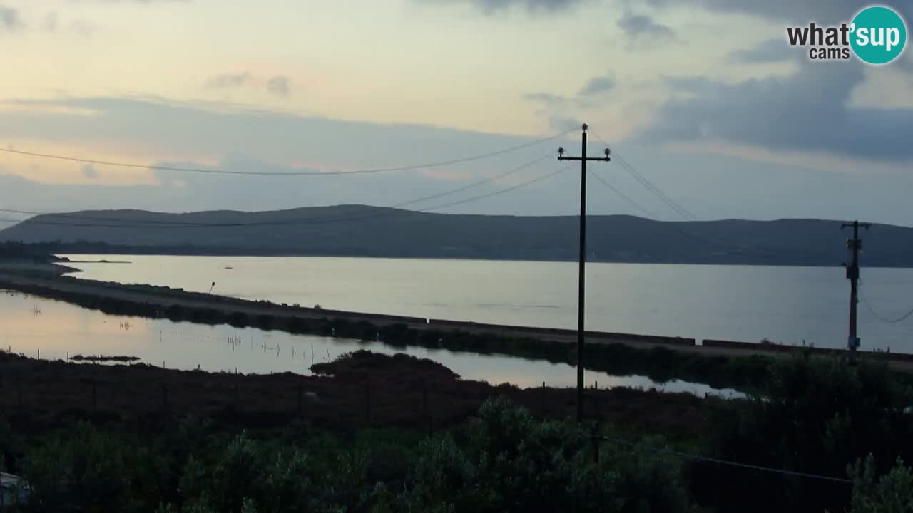 Playa Porto Botte webcam | Cerdena