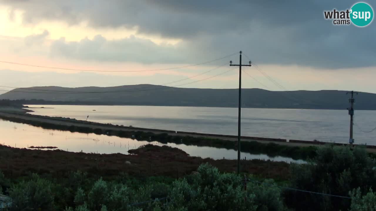 Webcam Porto Botte spiaggia | Sardegna