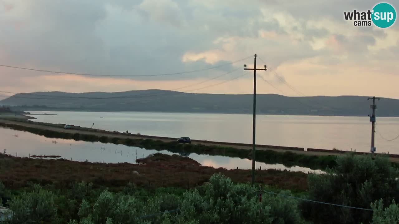 Beach Porto Botte webcam | Sardinia