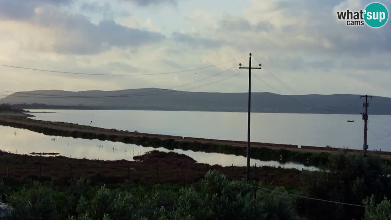 Beach Porto Botte webcam | Sardinia