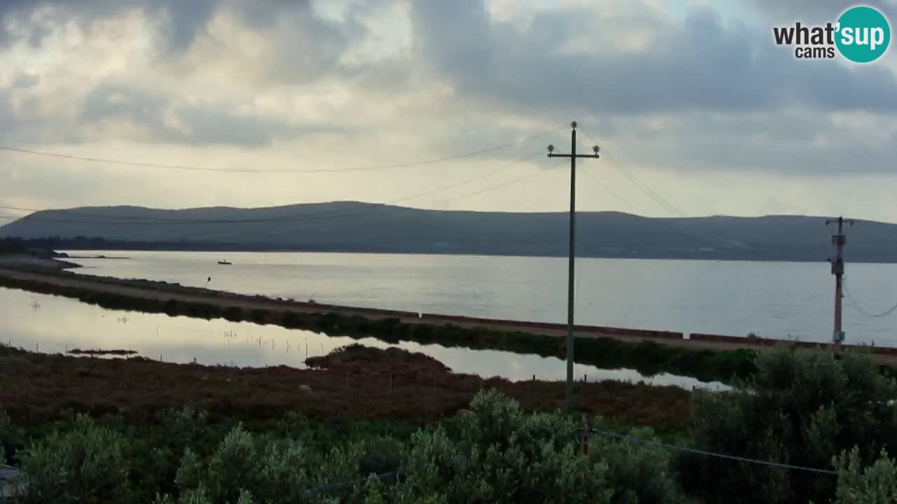 Beach Porto Botte webcam | Sardinia