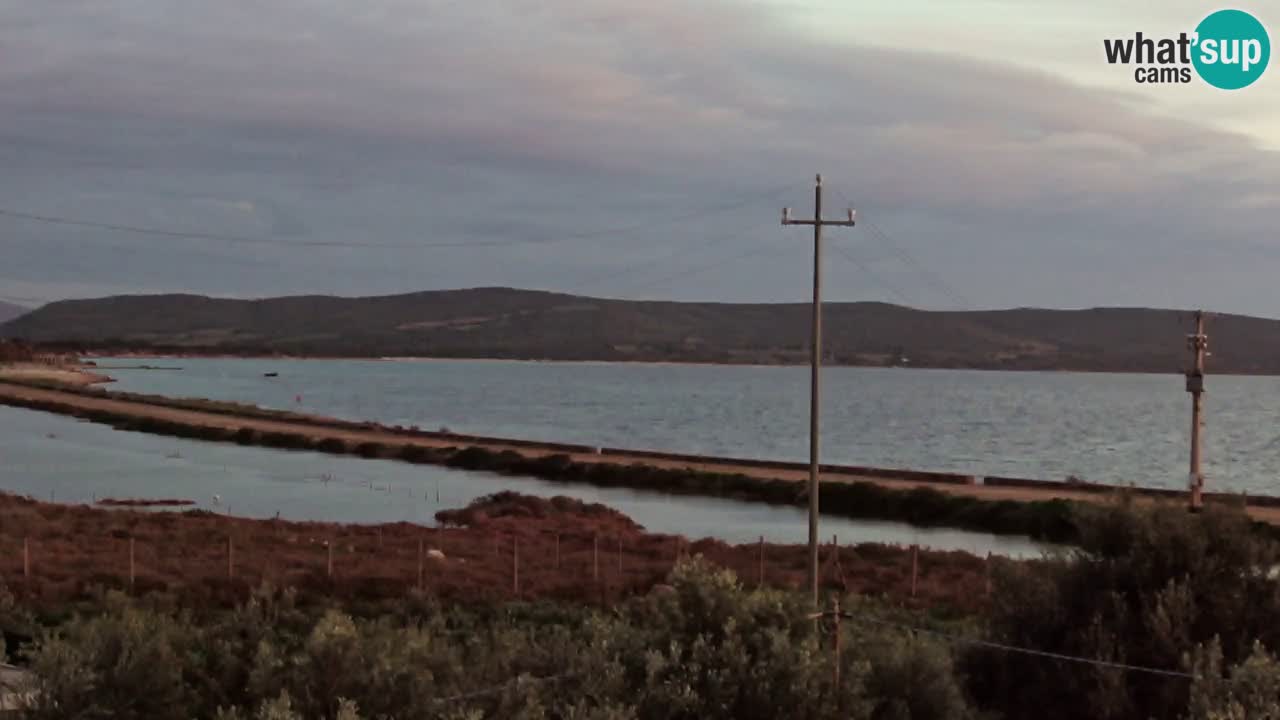 Strand Porto Botte webcam | Sardinien