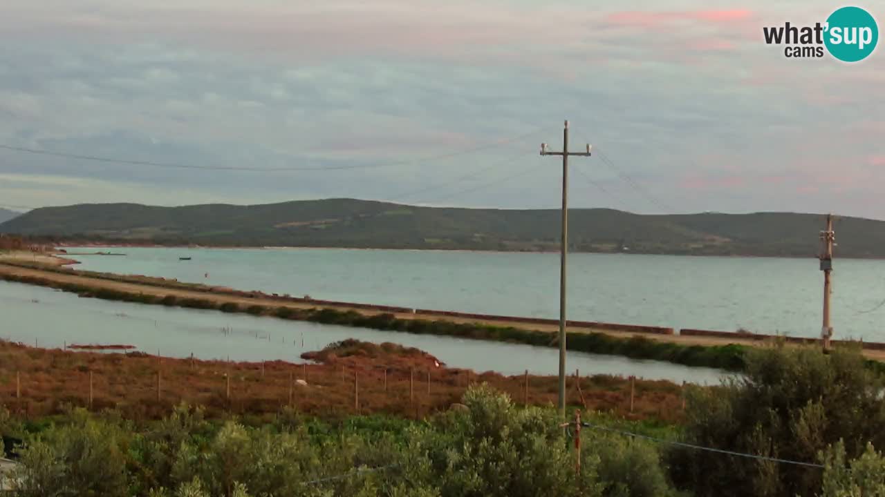 Playa Porto Botte webcam | Cerdena