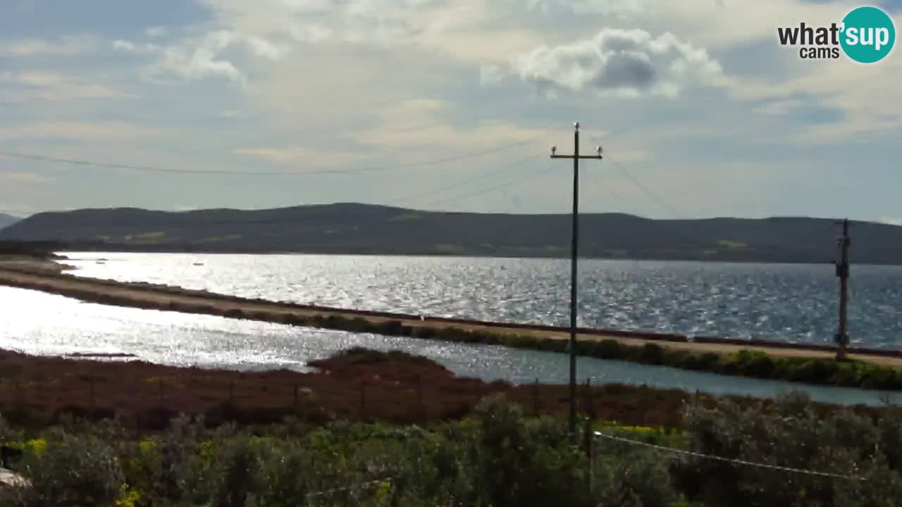 Beach Porto Botte webcam | Sardinia