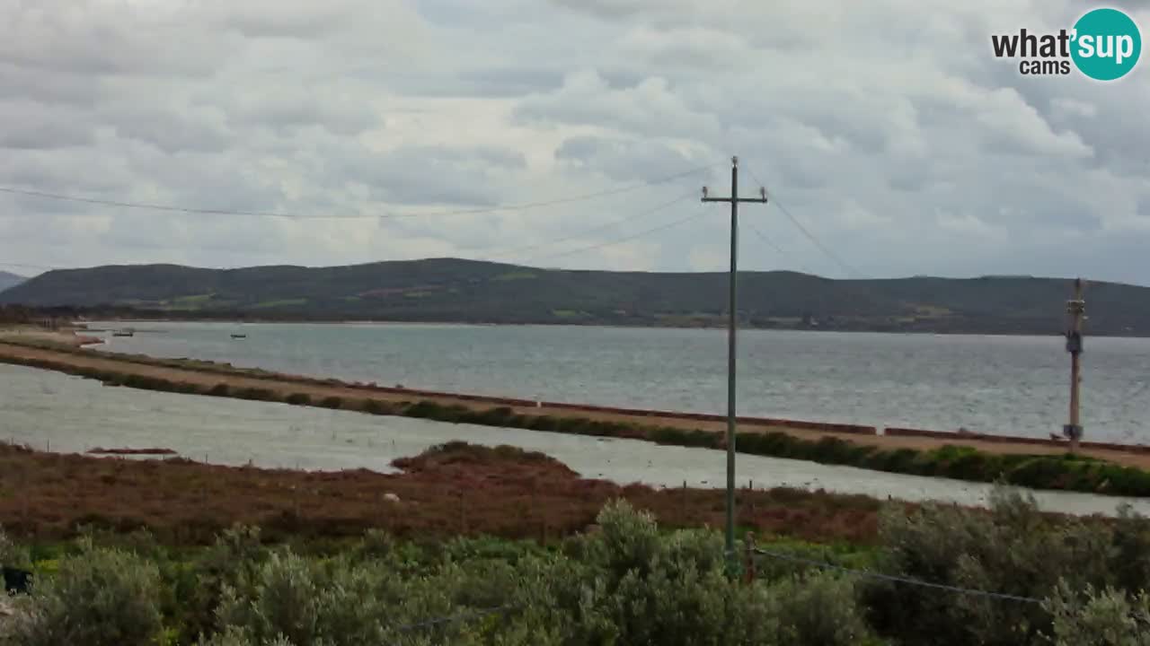 Strand Porto Botte webcam | Sardinien