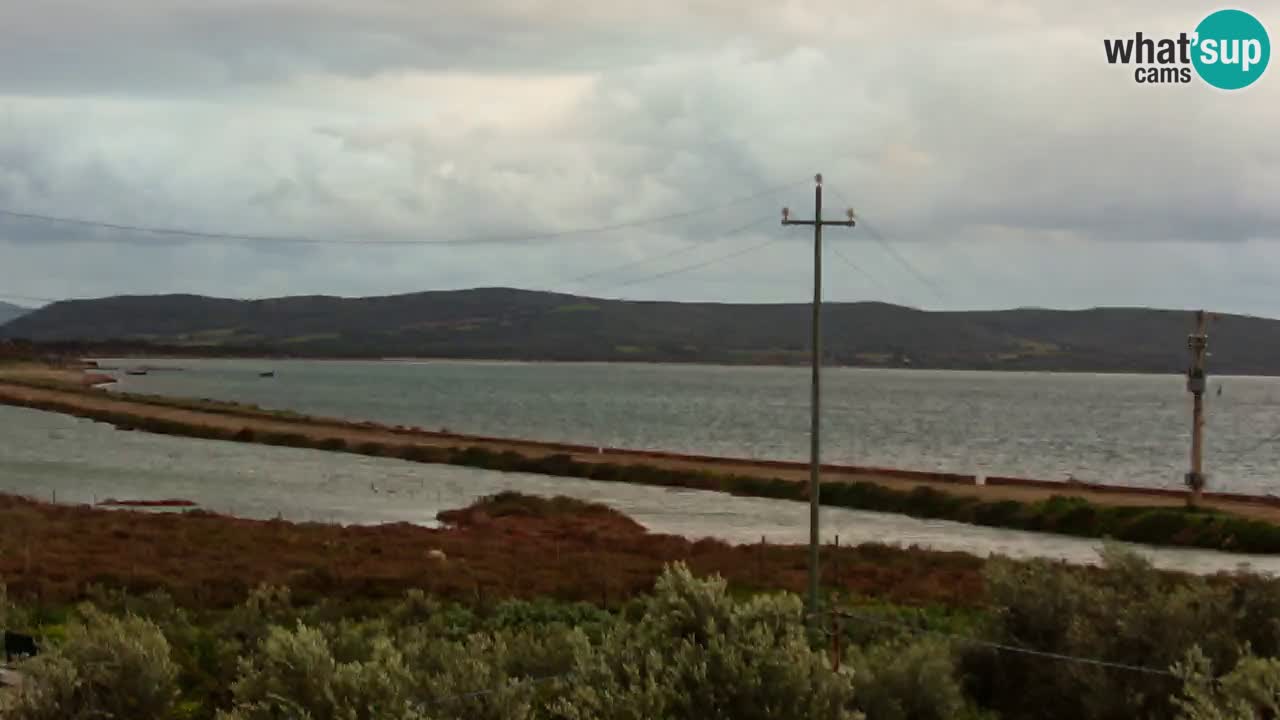 Strand Porto Botte webcam | Sardinien