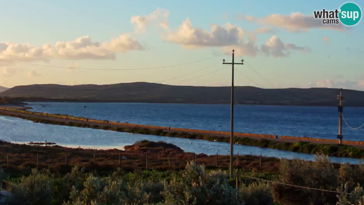 Webcam Porto Botte spiaggia | Sardegna