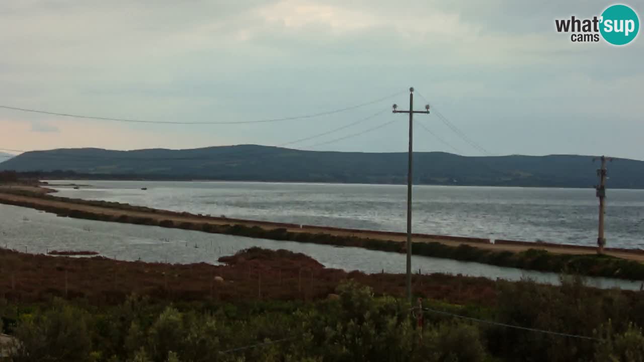 Spletna kamera Porto Botte plaža | Sardinija