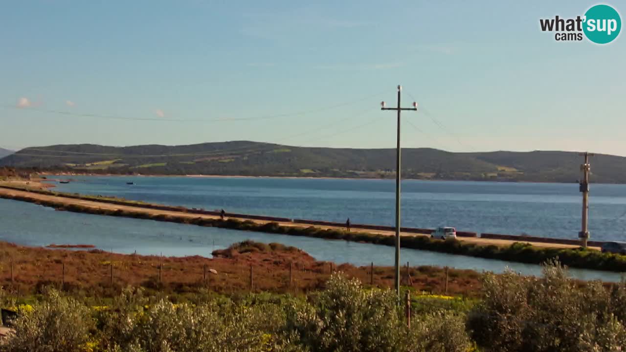 Plage Porto Botte webcam | Sardaigne