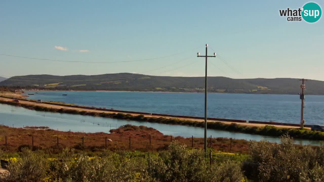 Webcam Porto Botte spiaggia | Sardegna