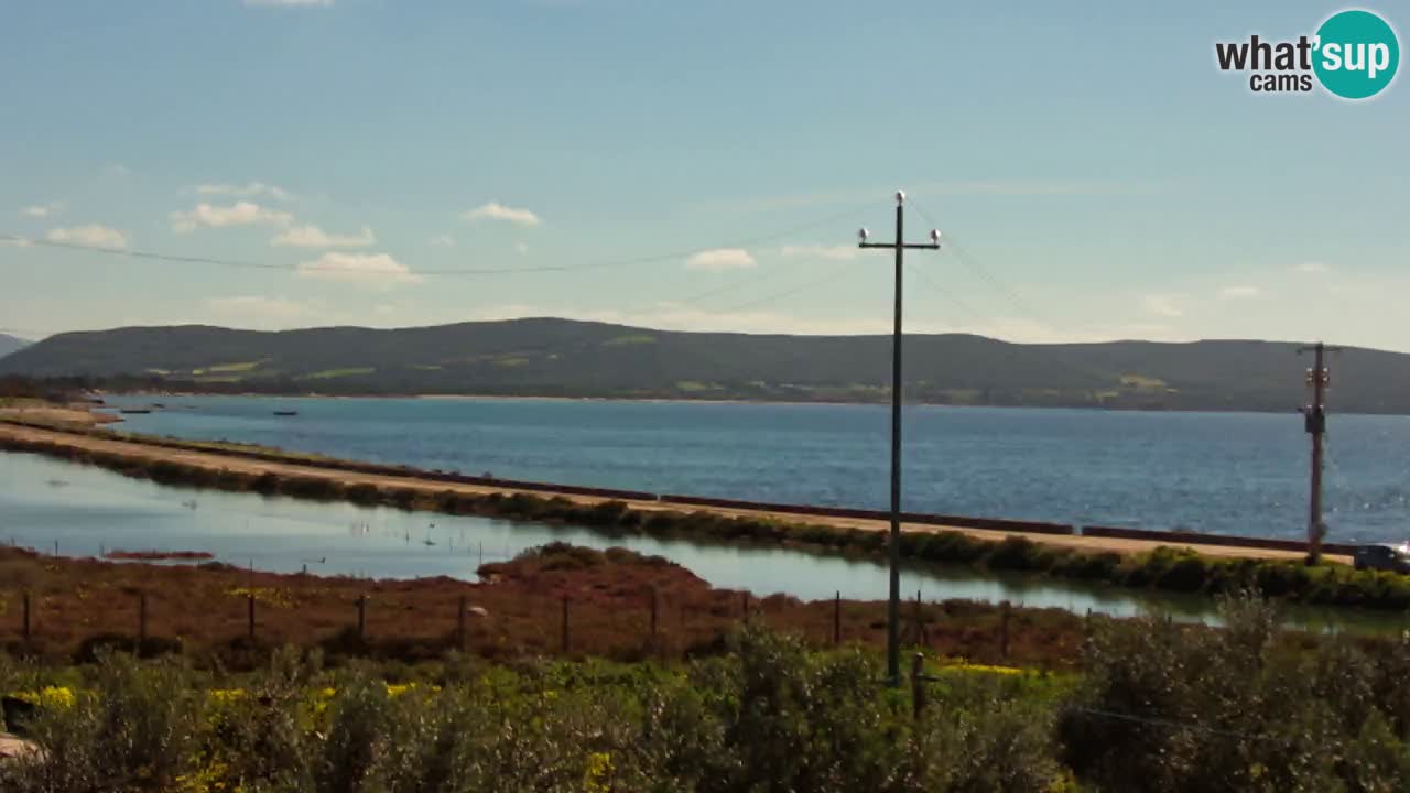 Beach Porto Botte webcam | Sardinia